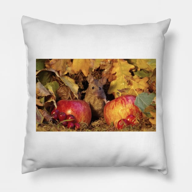 wild Autumn house mouse and  apple Pillow by Simon-dell