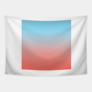 Light blue and pink color gradient Tapestry