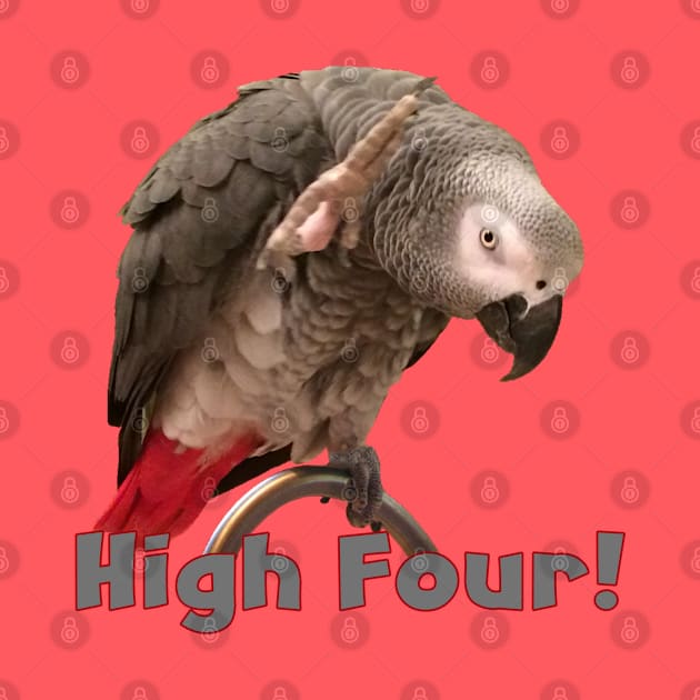 African Grey Parrot Waving High Four by Einstein Parrot