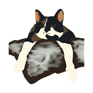 Luna the Calico T-Shirt