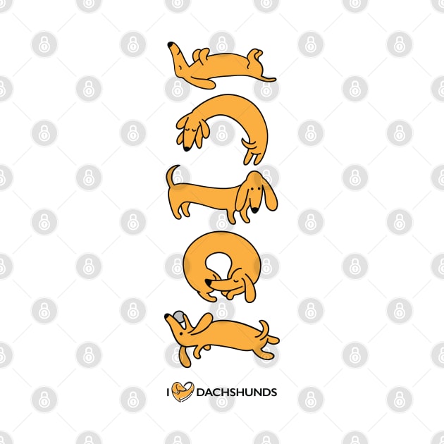 Bright Yellow Dachshunds by I Love Dachshunds