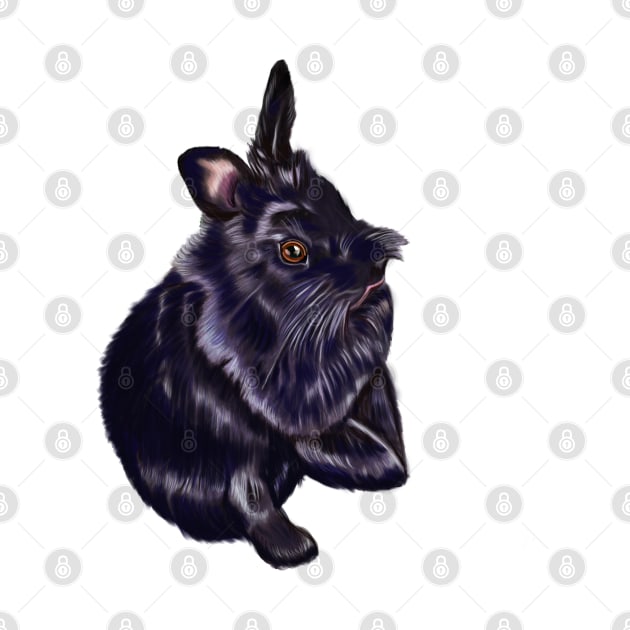 bunny rabbit cute  furry ebony colored coloured lionhead bunny rabbit by Artonmytee