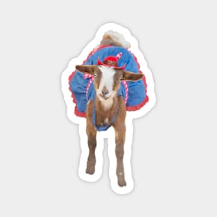 Cowgirl Goat Magnet