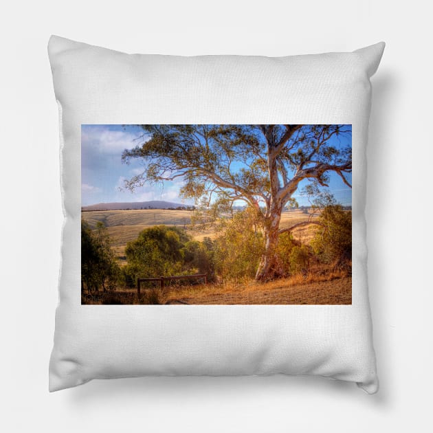 This is Australia - Kanmantoo, The Adelaide Hills, South Australia Pillow by Mark Richards