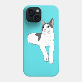 Cute kitty portrait Phone Case