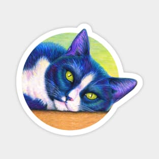 Cute Colorful Tuxedo Cat Magnet