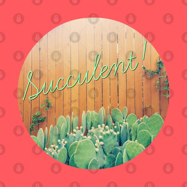 Succulent! by yaywow