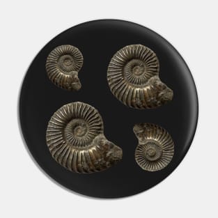 Fossil Ammonite Pin