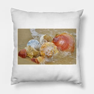 Seashells by the Seashore Pillow