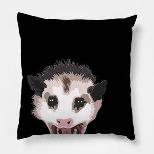 Possum Pillow