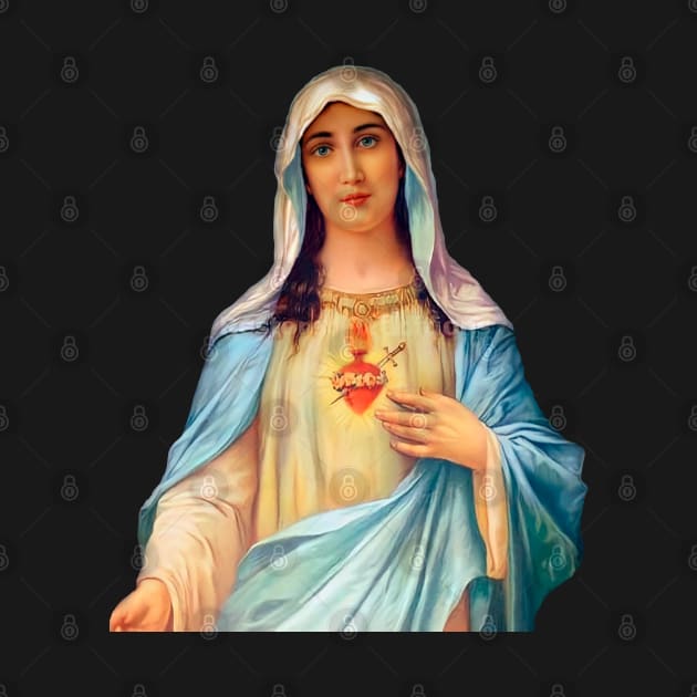 Immaculate Heart of Mary - III by Brasilia Catholic