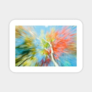 Vibrant nature abstract zoom blur Magnet