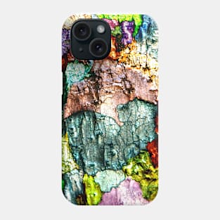 Wooden Continents Phone Case