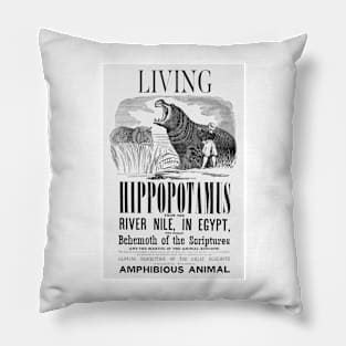 Barnum's American Museum Hippopotamus print Pillow