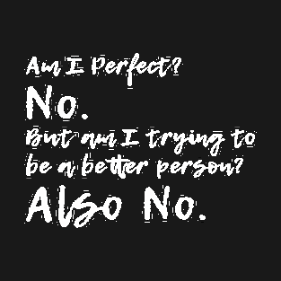 Am I Perfect? No. Am I Trying To Be A Better Person? Also No. T-Shirt