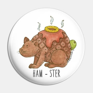 HAM-STER Pin