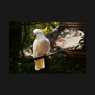 Sulphur Crested Cockatoo, Warburton T-Shirt