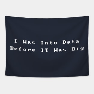 I Was Into Data Before It Was Big Tapestry