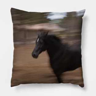 Run Horse Run Pillow