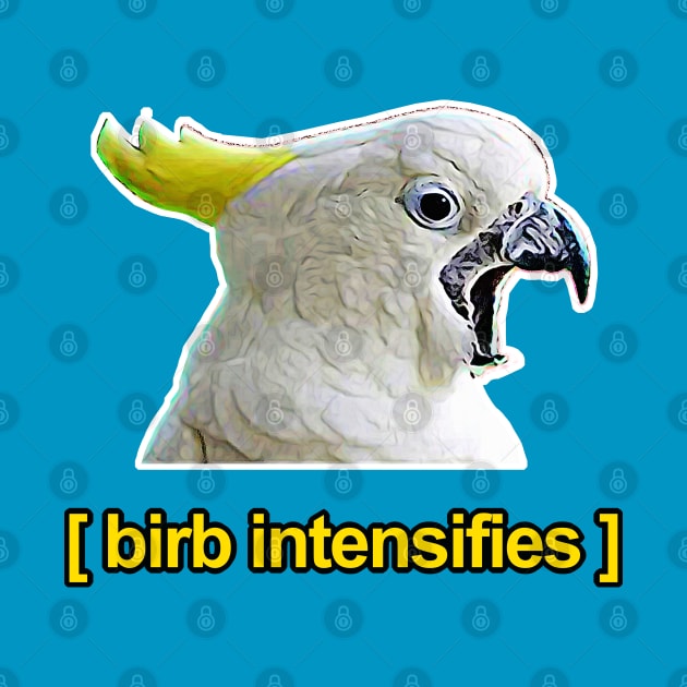 Birb Intensifies - Meme Humor Design by DankFutura