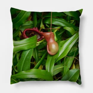 Pitcher Plants Pillow