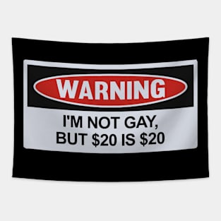 Funny Warning Magnet, I'm Not Gay, But 20 Dollars is 20 Dollars, Practical Jokes, Gags, Pranks, Revenge, Magnetic Bumper Tapestry