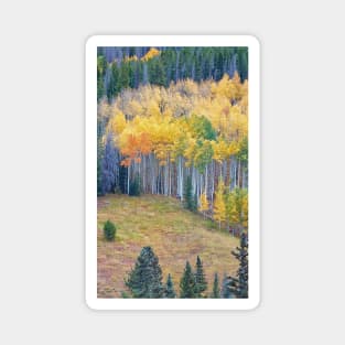 Colors of Fall Magnet