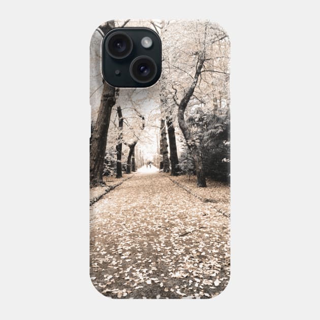 Terra Nostra Park Phone Case by Gaspar Avila