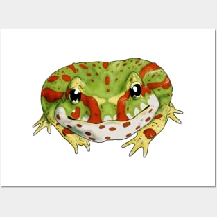 1 Pc Vinyl Frog Sticker Sheet, Tree Frog Stickers, Pacman Frog Sticker, Red  Eyed Tree Frog, Pacman Frog, Dumpy Tree Frog, Nature 