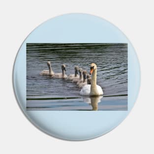 7 Cygnet Crescent Pin