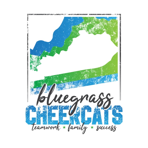 Teamwork * Family * Success (For Light Shirts) by bluegrasscheercats