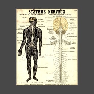 Vintage Poster of the Nervous System T-Shirt