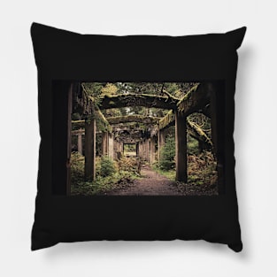 Abandoned Tin Mine Rolava #1 Pillow