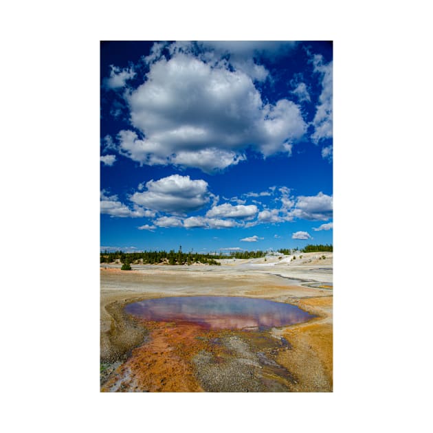 Norris Geyser Basin Spectacular by BrianPShaw