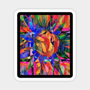 Kaleidoscope of Colors,  Abstract Flower Magnet