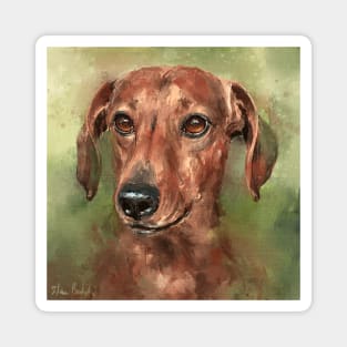 Painting of a Dachshund with a Red Coat Magnet