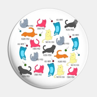 Cats: The Original Yogi Masters Pin