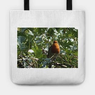 Robin Tote