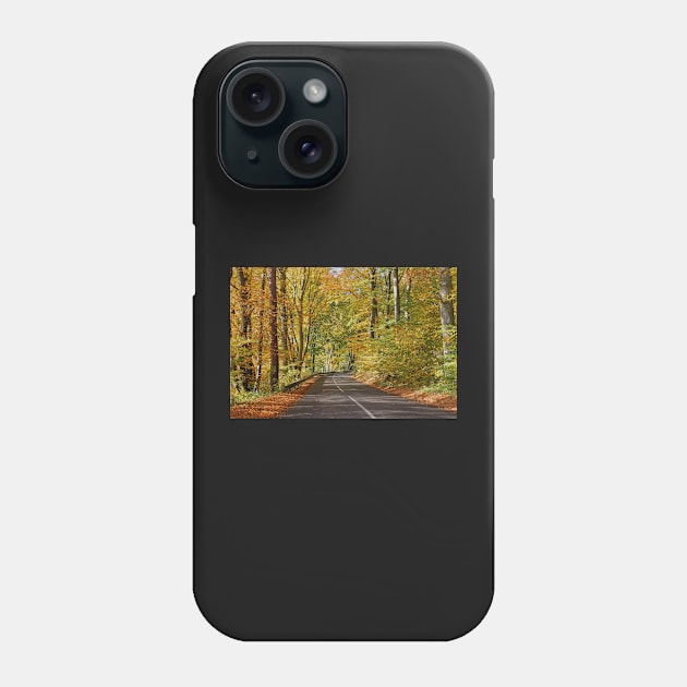 Autumn road Phone Case by Trine