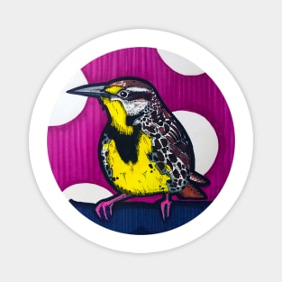 Western Meadowlark Magnet