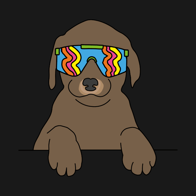 Chocolate Labrador puppy Dog wearing 80's skiing sunglasses by Captain-Jackson