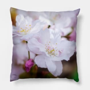 White Cherry Blossom Pillow