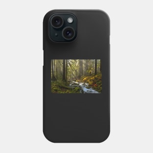 Winding Through The Sol Duc Rainforest Phone Case