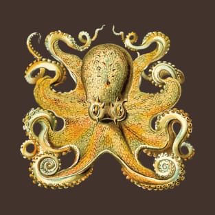 Vintage 1904 Haeckel Octopus - Cephalopod Octopoda Ocean Creature T-Shirt