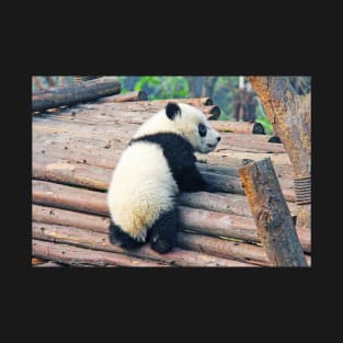 Cute Little Panda T-Shirt