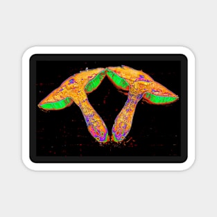 Psychedelic Shrooms Magnet