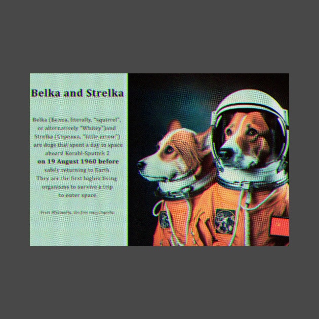 Belka and Strelka, day in space, dogs astronauts. by Grigory