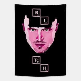 Jesse Pinkman what will you do Tapestry