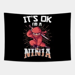 It's OK I'm A Ninja Funny Gift Tapestry