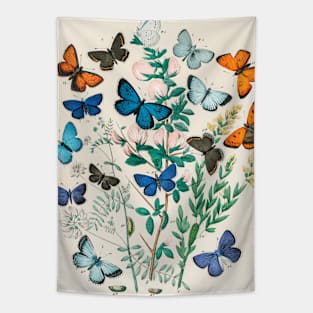 Butterfly Vintage Science Illustration Tapestry